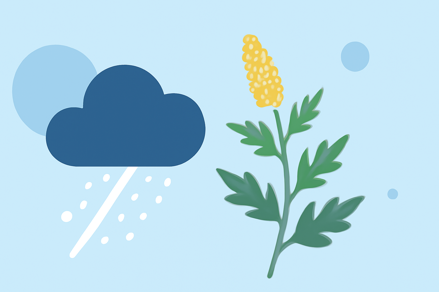 Understanding Ragweed Pollen Dynamics During Winter Storms