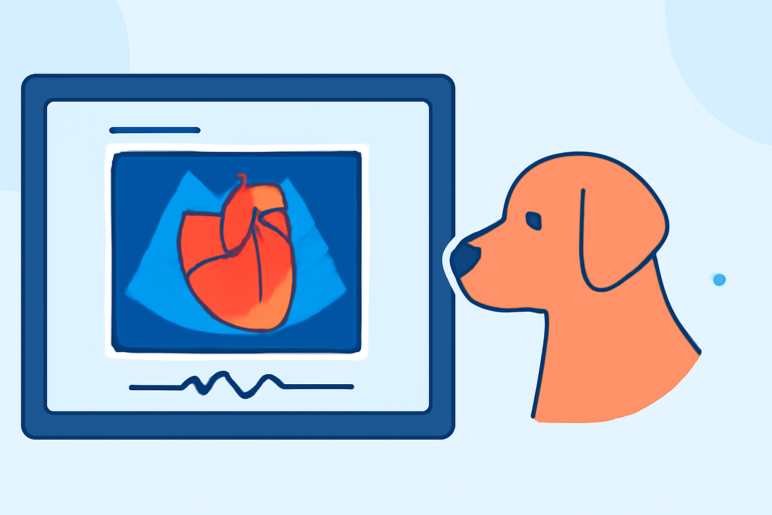 An Introduction to Doppler Shear Maps for Pet Owners