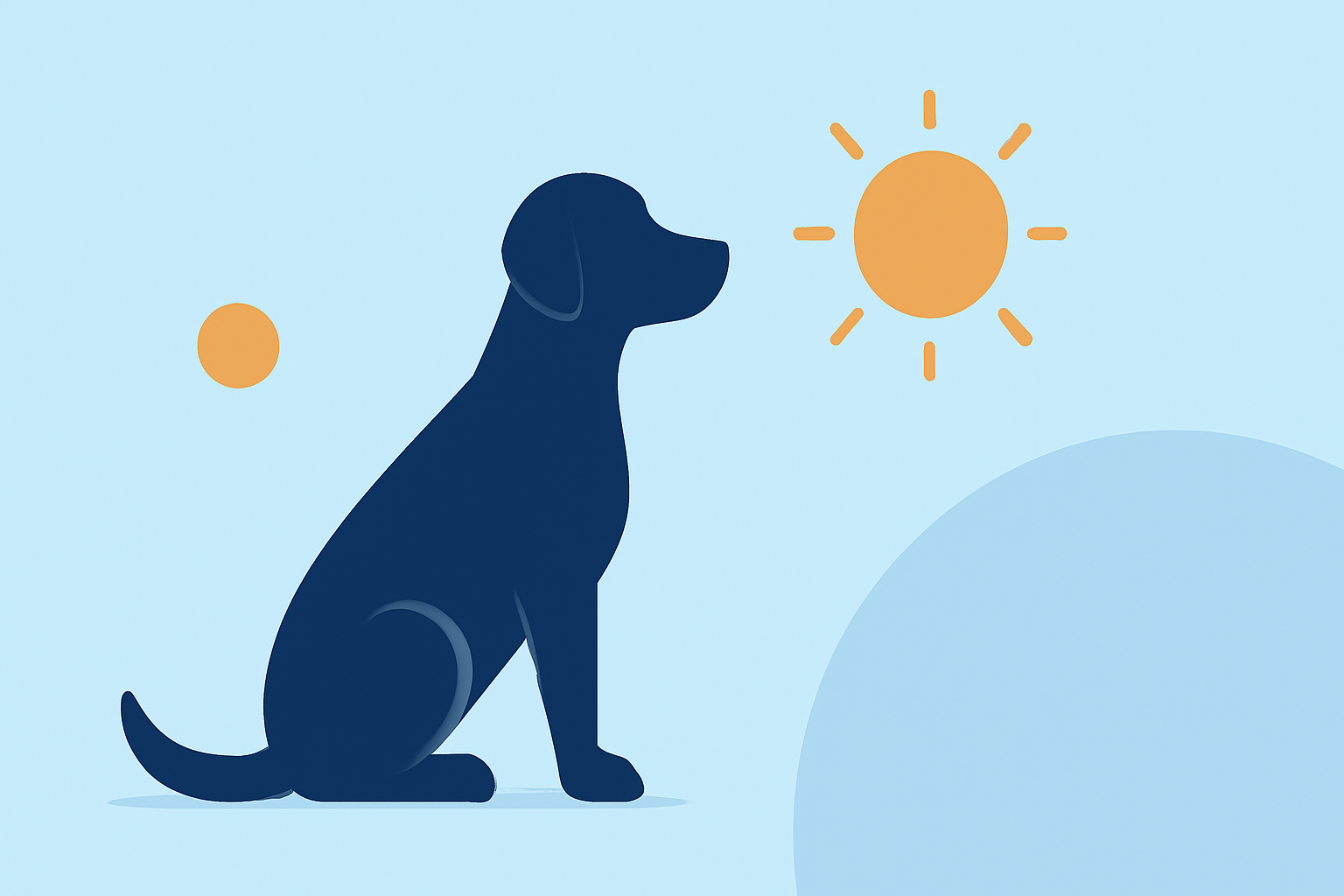 Optimizing Pet Activities Around Golden Hour
