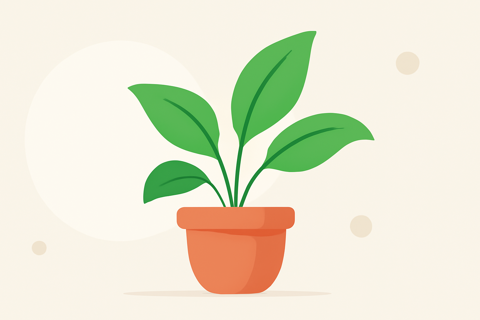 Easy Weather for Indoor Plant Care Without Prior Experience