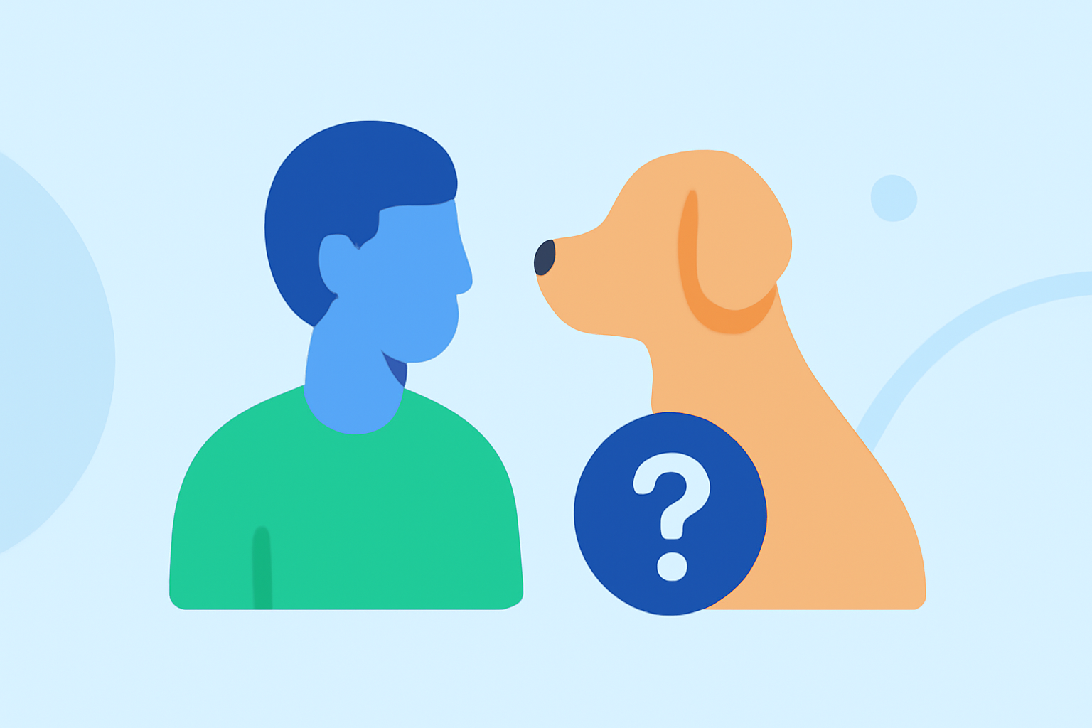 Common Radar Gap Areas Questions for Pet Owners