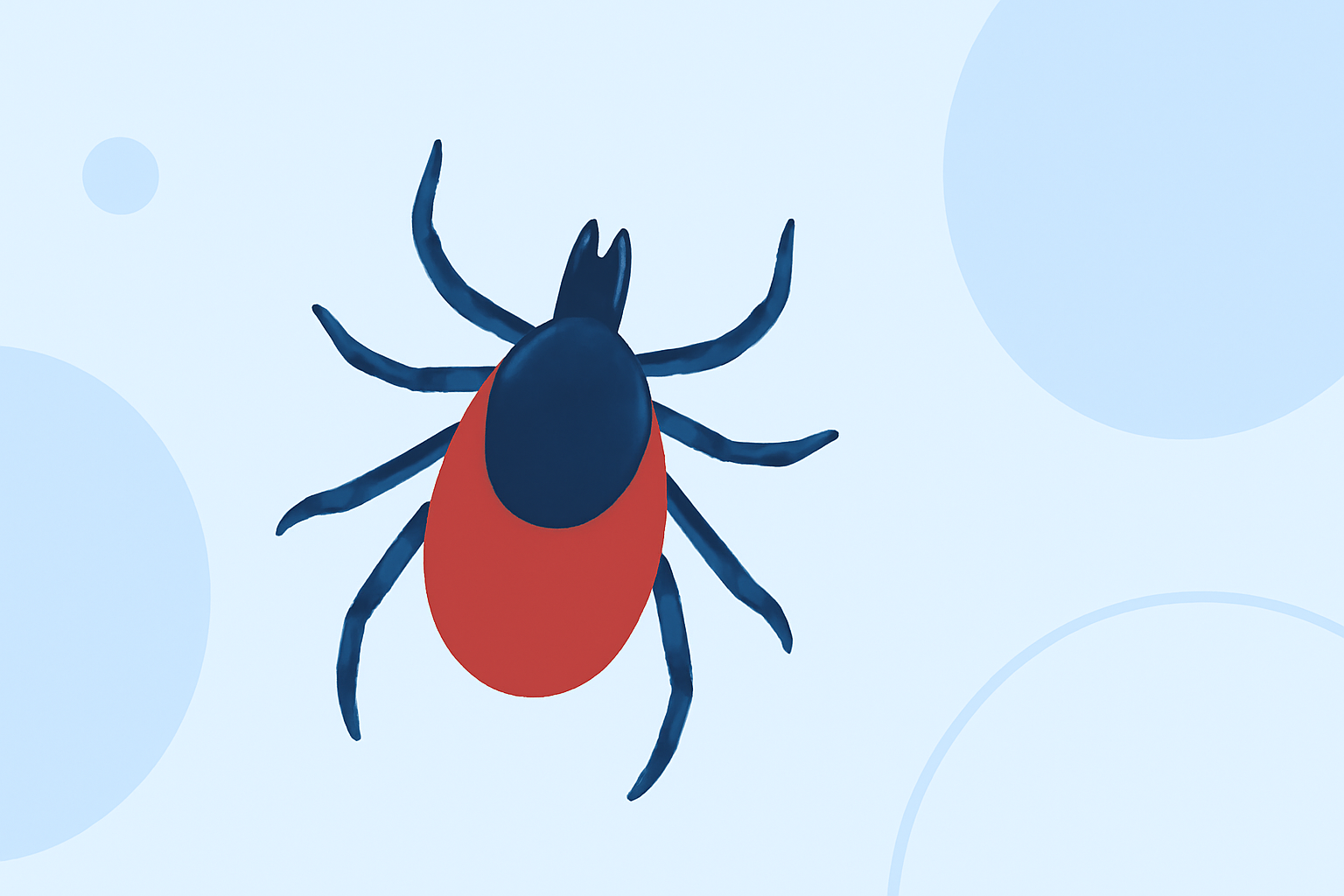 2026 Tick Season Outlook: What Outdoor Enthusiasts Need to Know