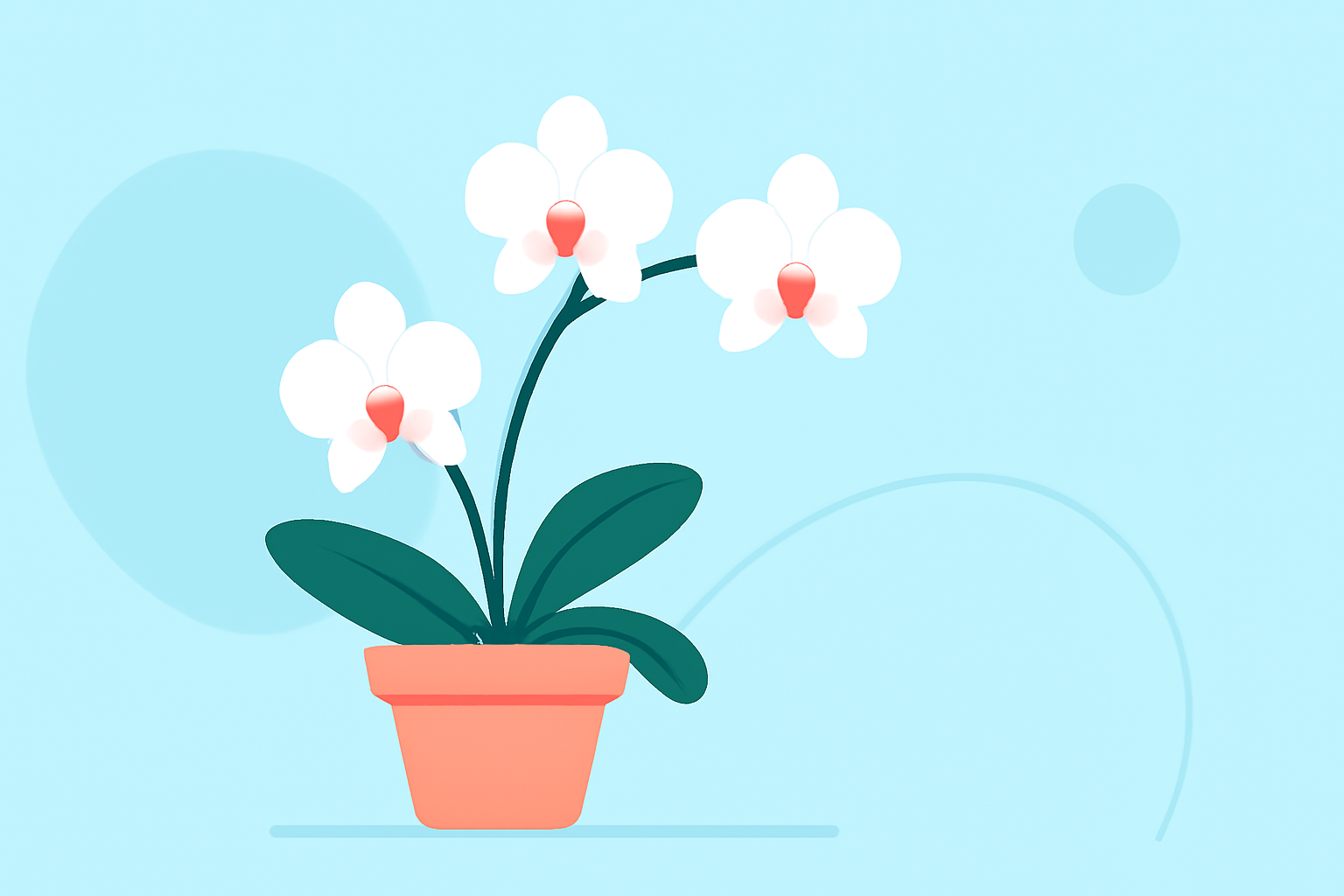 Essential Orchid Care Strategies During Hurricane Season