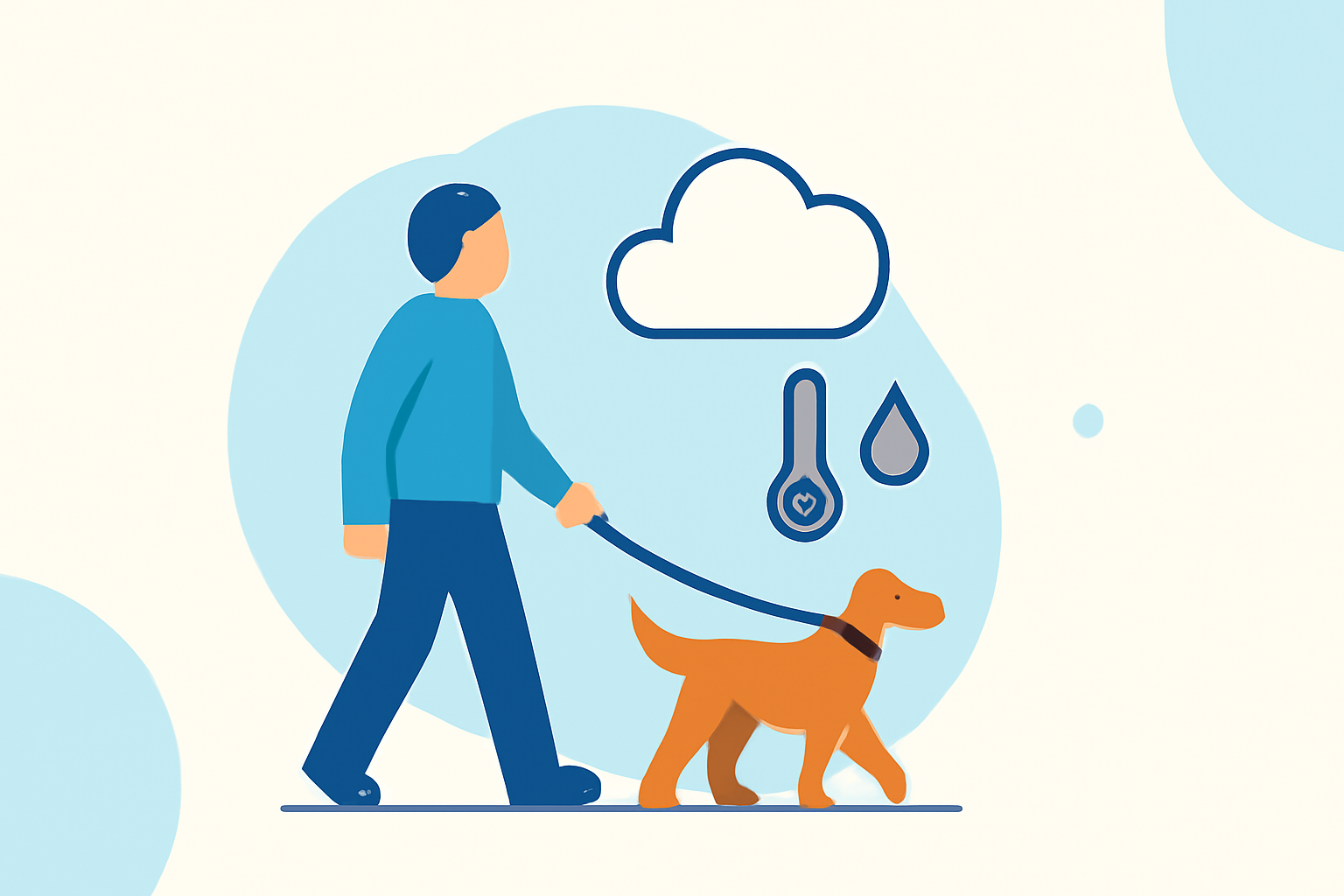 What Is Weather for Dog Walking for Outdoor Enthusiasts?