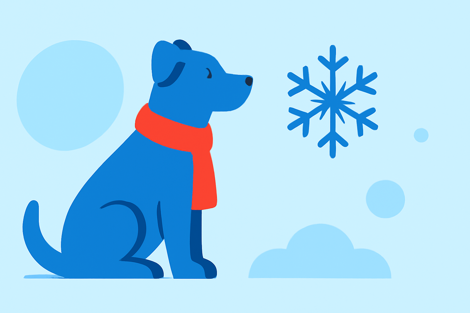 An Introduction to Winter Weather Outlook for Pet Owners