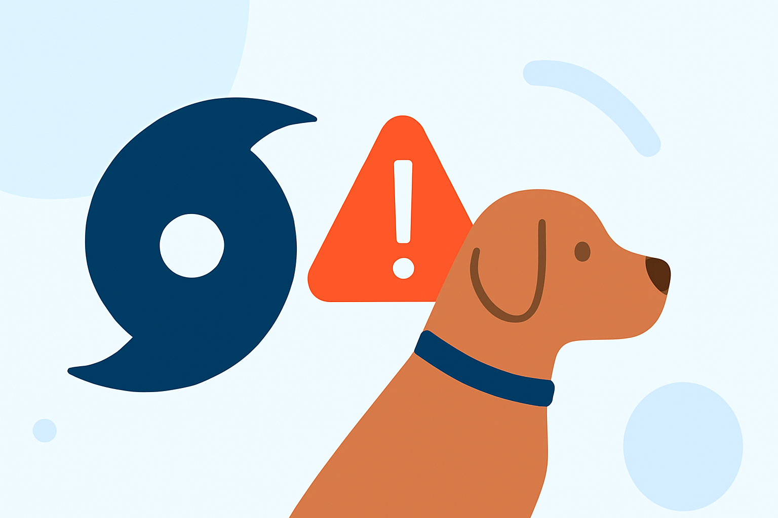 Flash Flood Alerts: Essential Information for Pet Owners