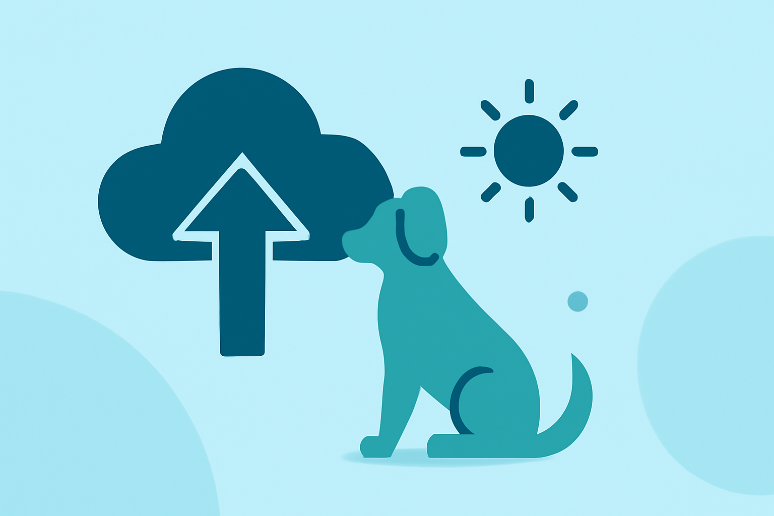 Weather Considerations for Outdoor Pet Photography