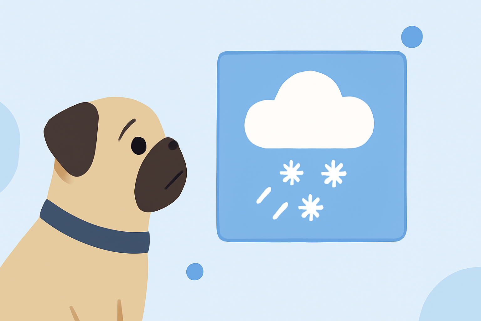 Snow Forecasts: Essential Tips for Pet Owners