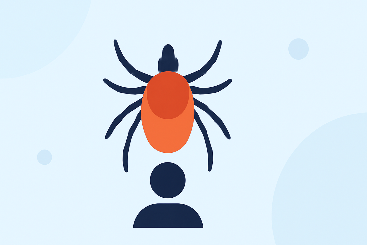 Understanding Tick Season Outlooks in the United States