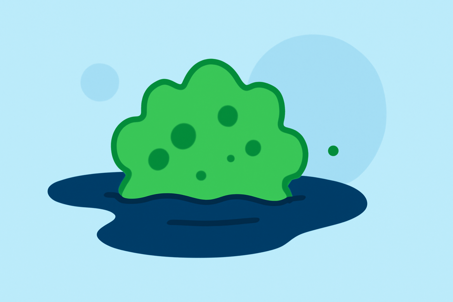Understanding Algal Blooms: A Guide for Outdoor Enthusiasts