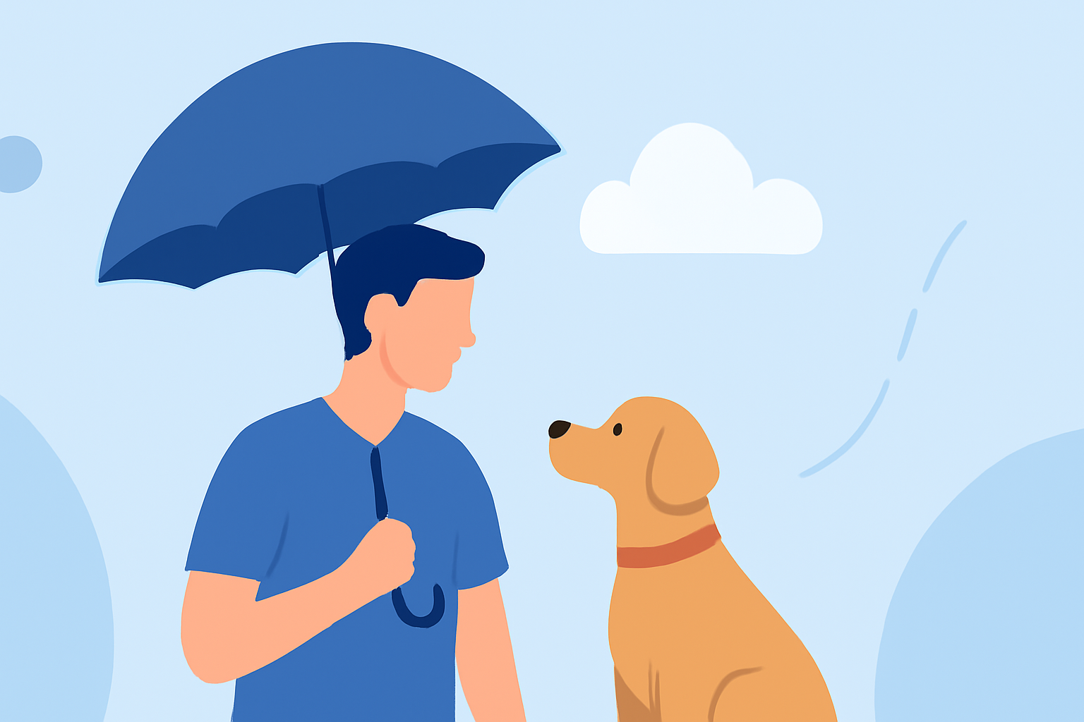 Weather for Outdoor Concerts: A Guide for Pet Owners