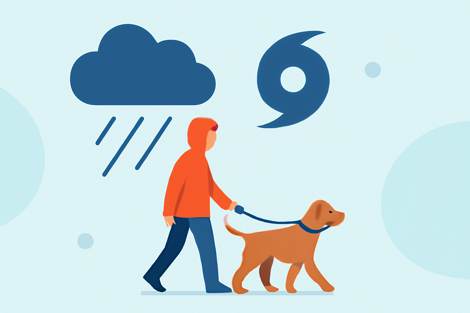 What Weather to Expect for Dog Walking During Hurricane Season