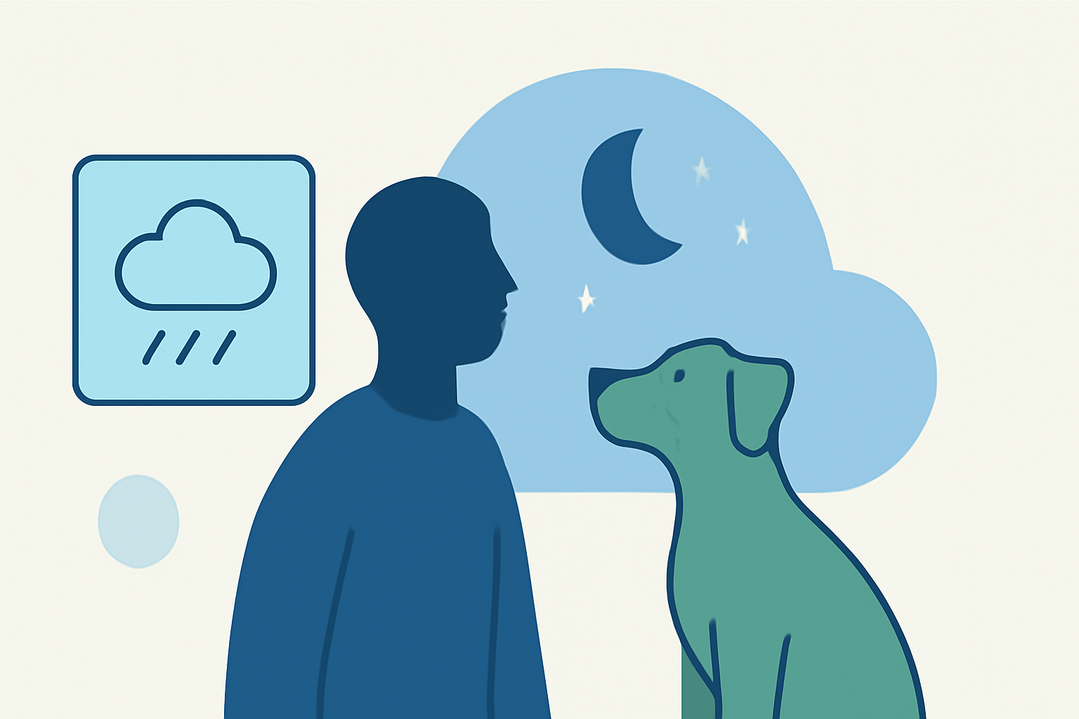 An Introduction to Weather for Outdoor Stargazing for Pet Owners