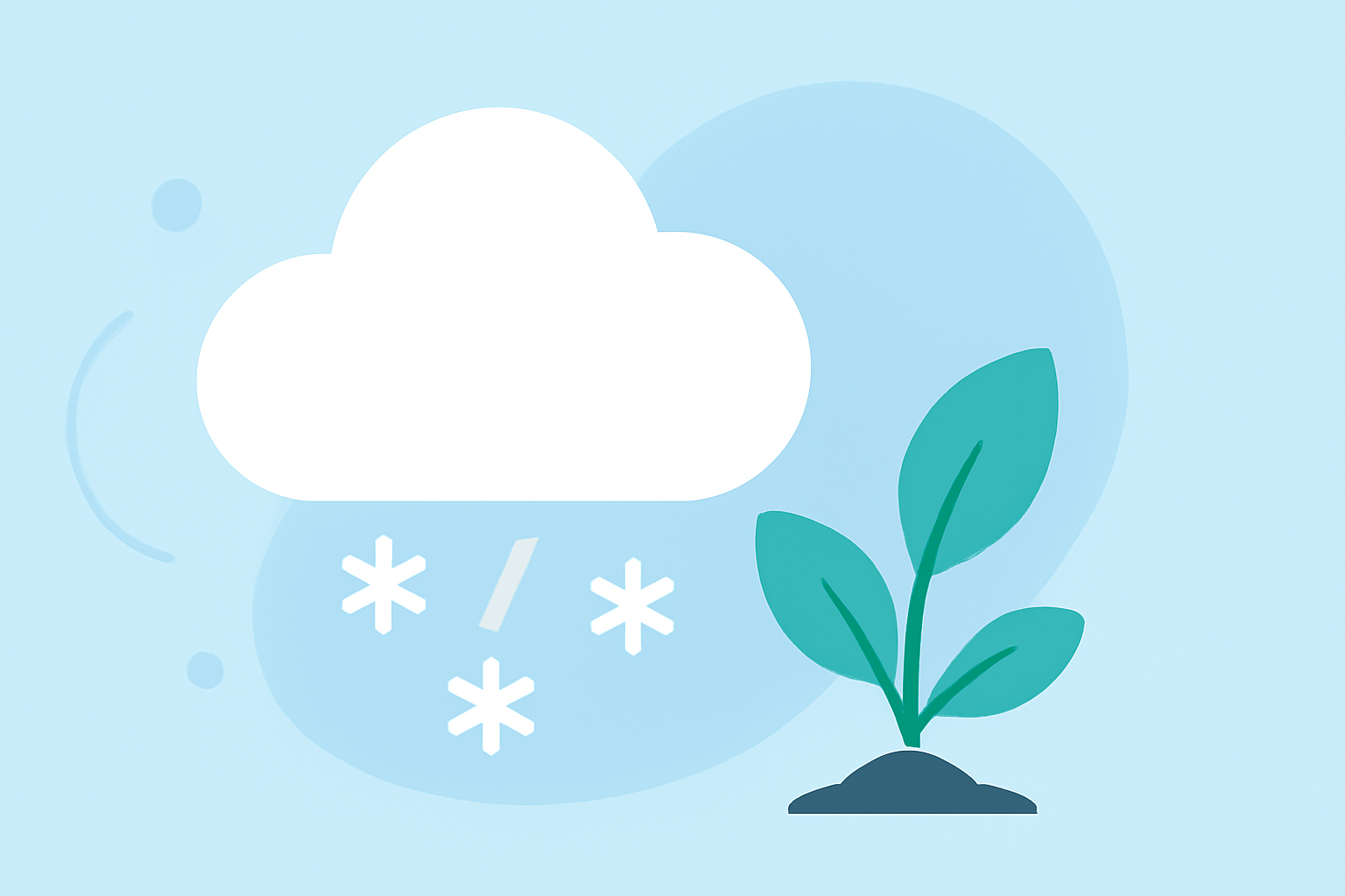 Weather Considerations for Growing Vegetables During Winter Storms