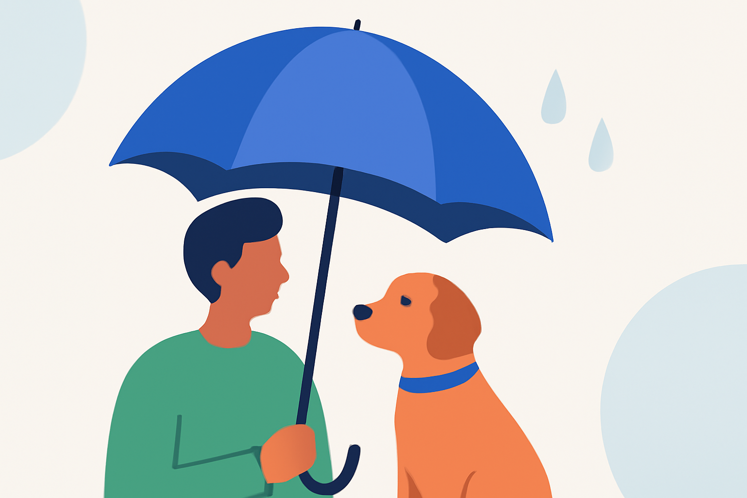 Rainy Day Pet Care Tips for Pet Owners