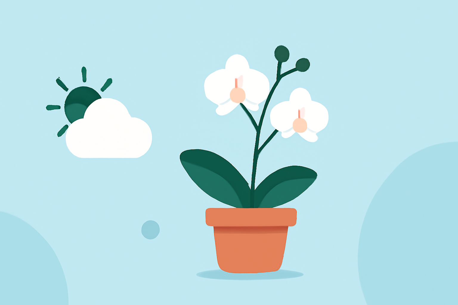 Optimal Weather Conditions for Orchid Growth in Under 5 Minutes