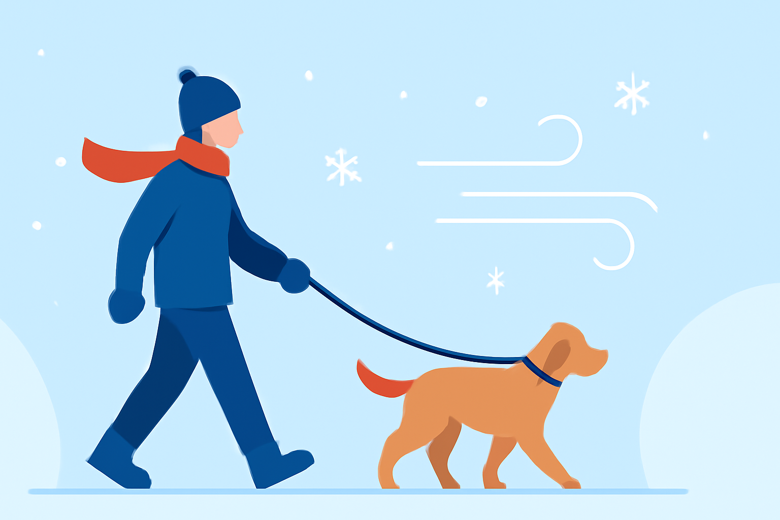 Weather for Pet Walking Tips During Winter Storms