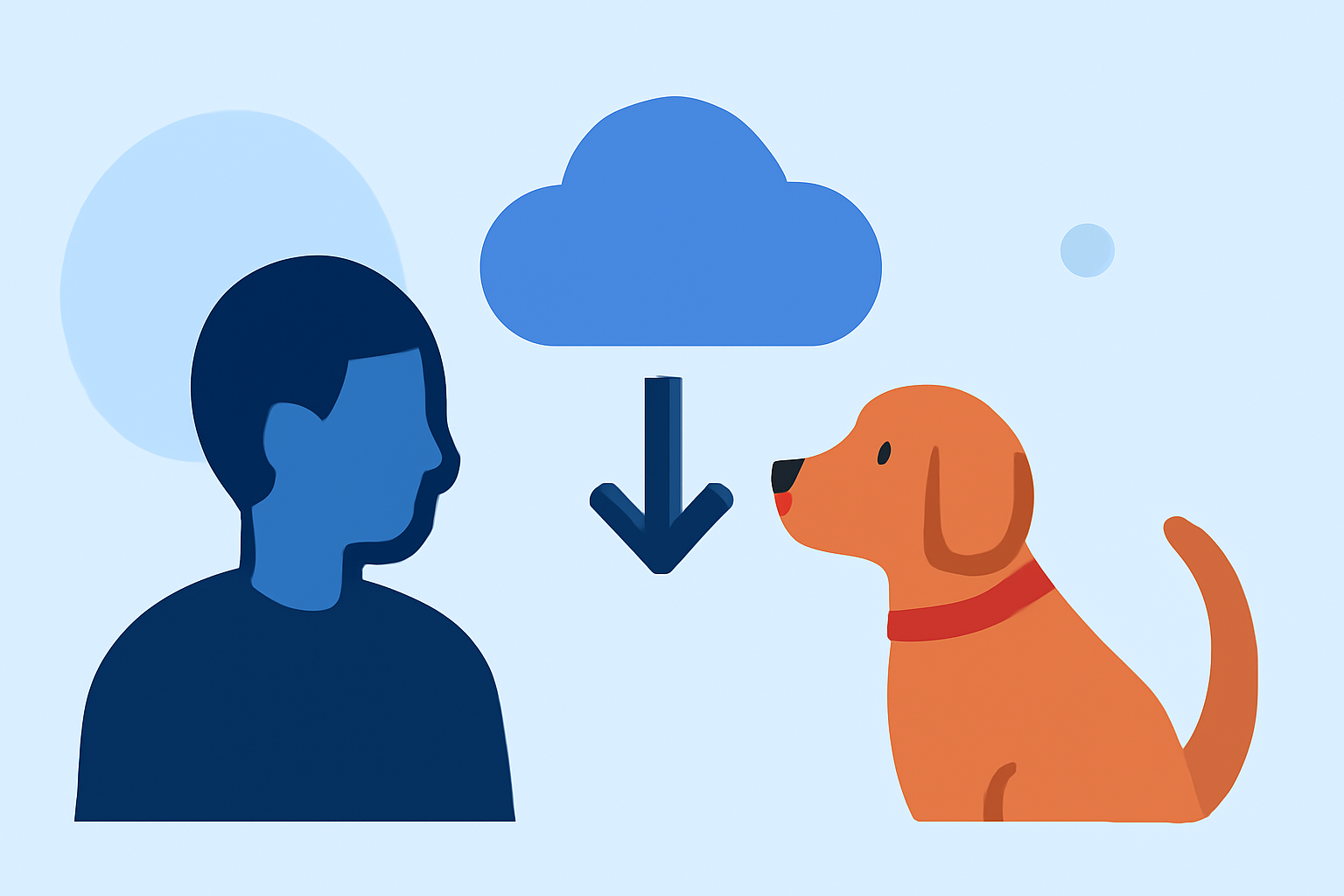 An Introduction to El Niño Basics for Pet Owners
