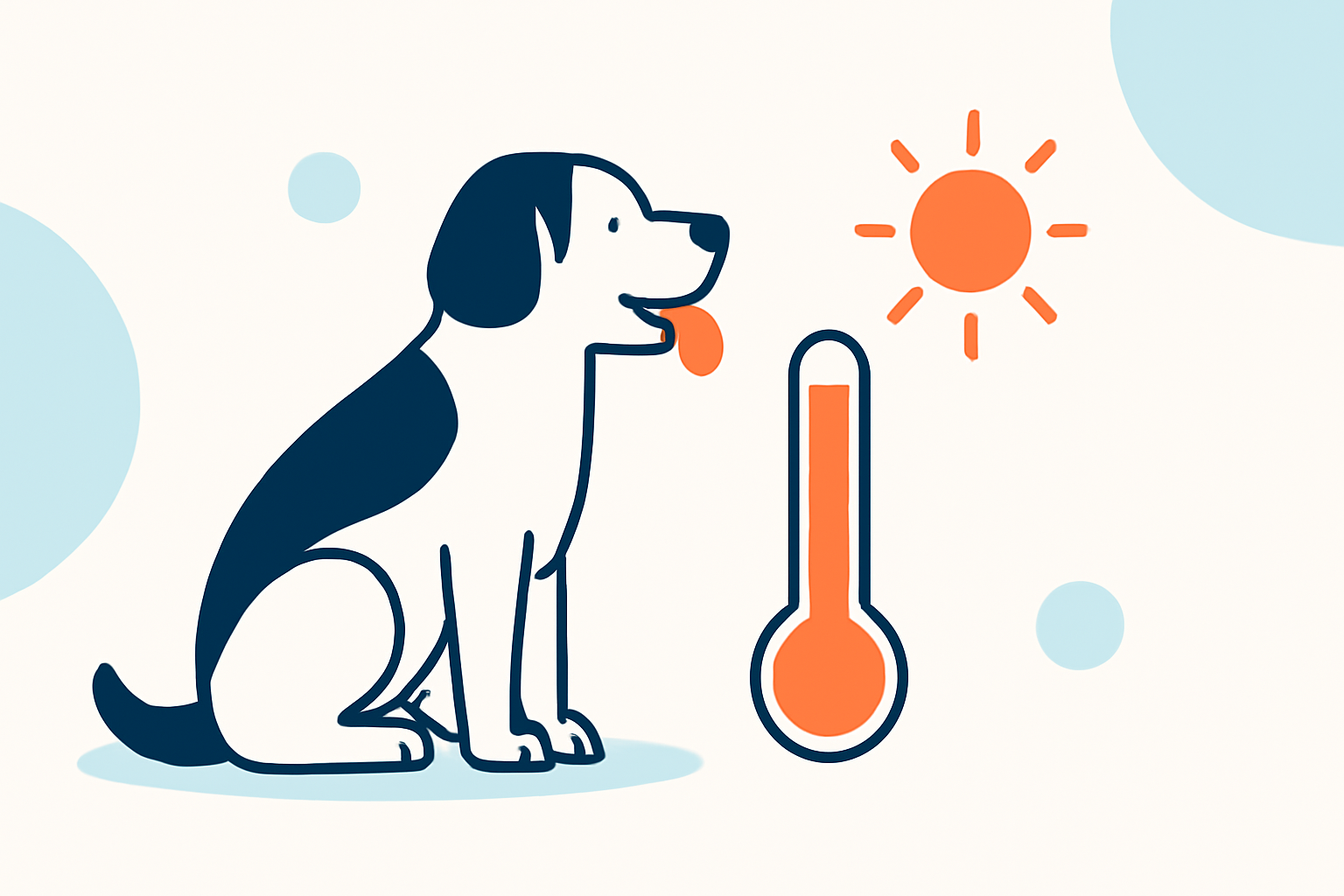 Protecting Your Pets During Heat Waves: Essential Tips for Pet Owners
