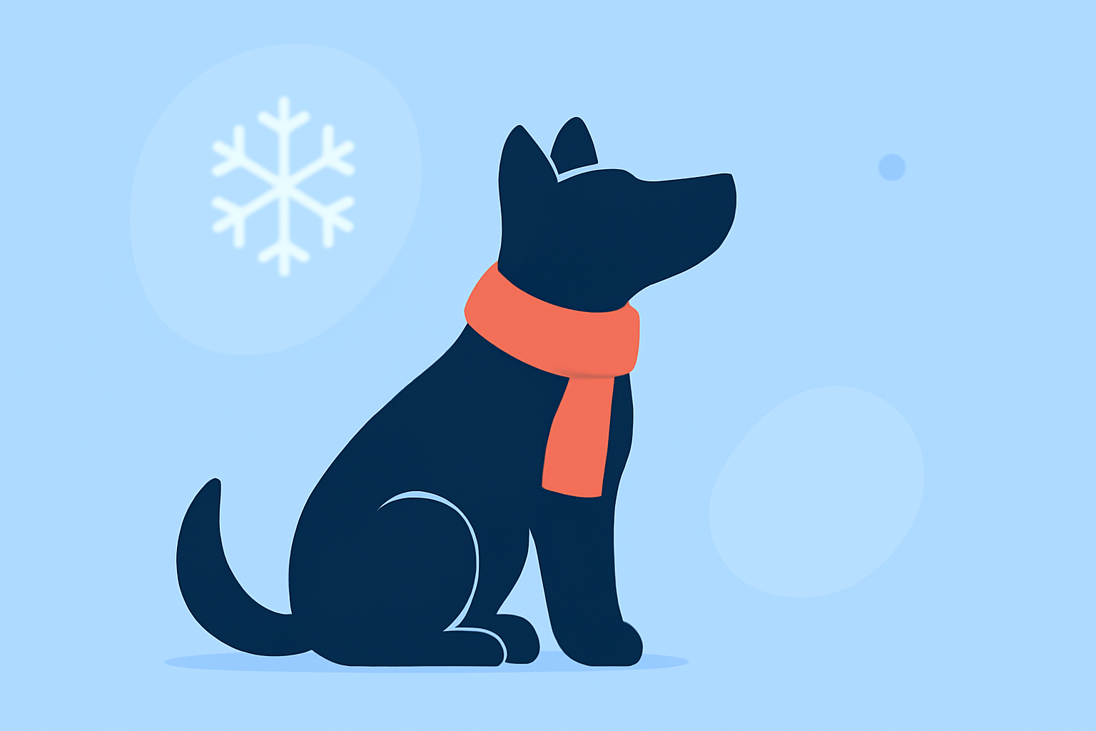 Frostbite Prevention Basics for Pet Owners