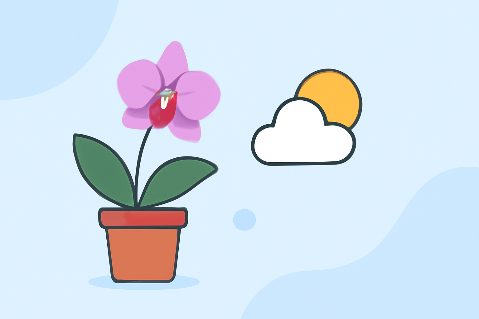 Optimal Weather Conditions for Orchid Cultivation in the United States