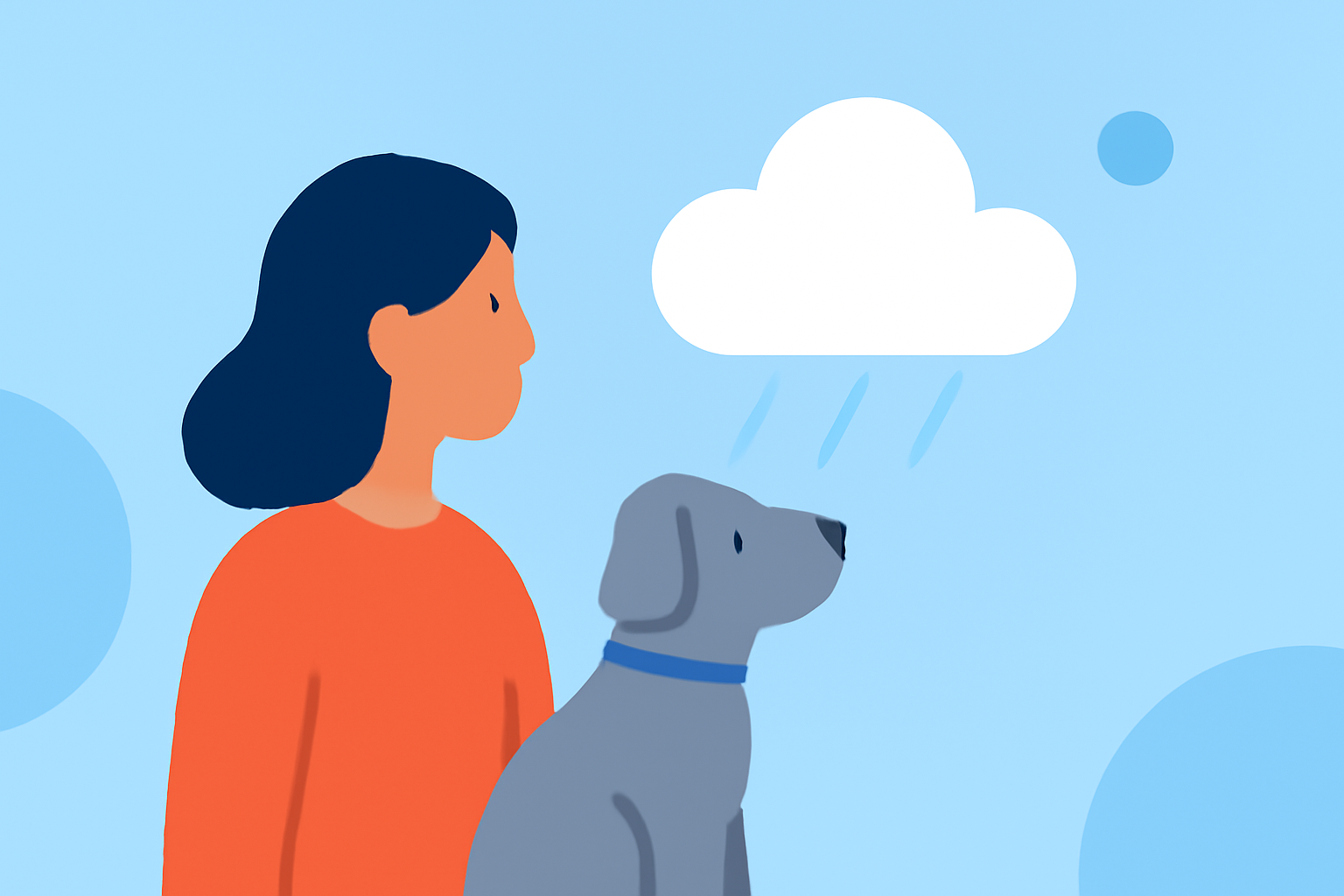 Weather for Commuting Explained for Pet Owners