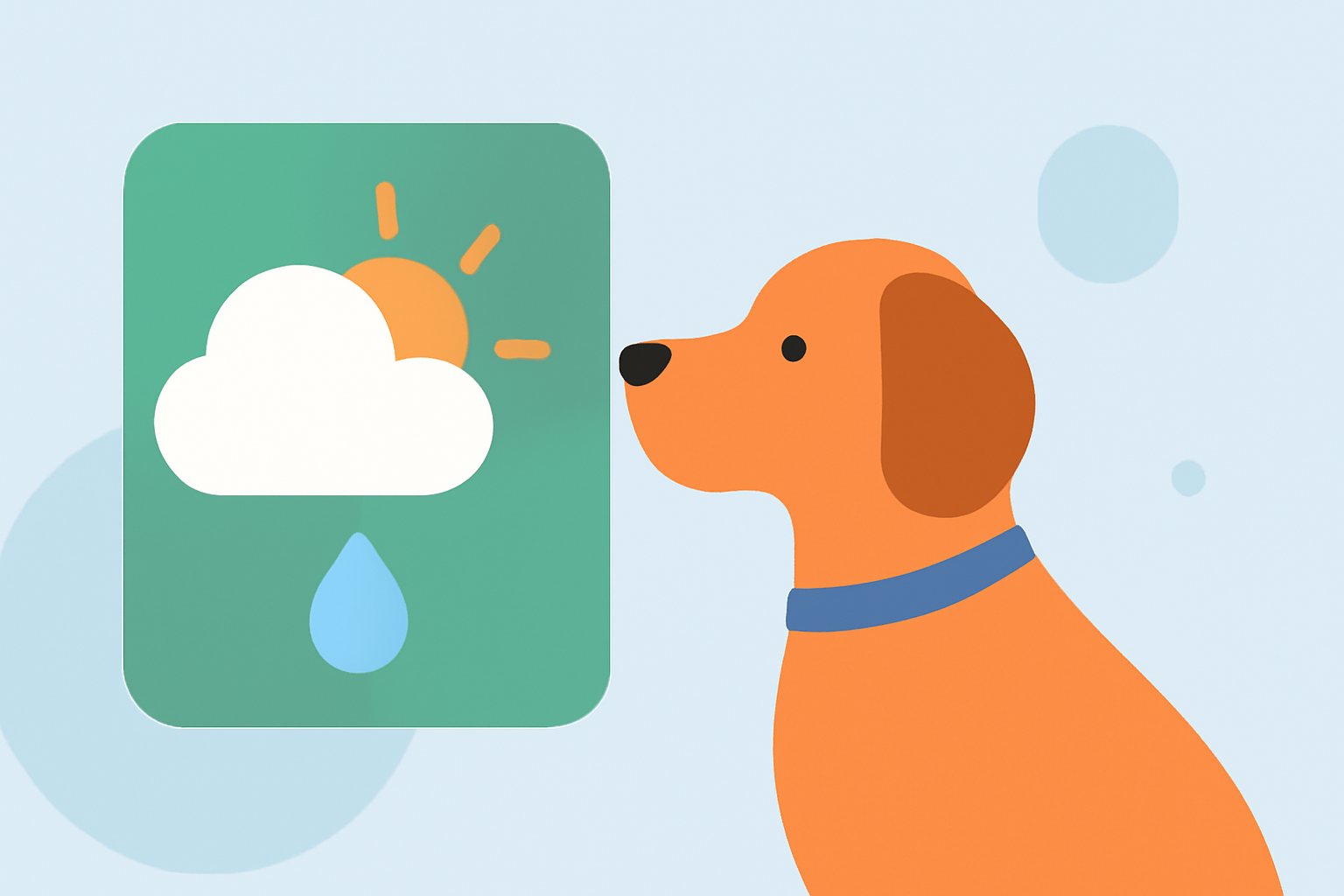 Seasonal Weather Outlooks: Essential Guide for Pet Owners