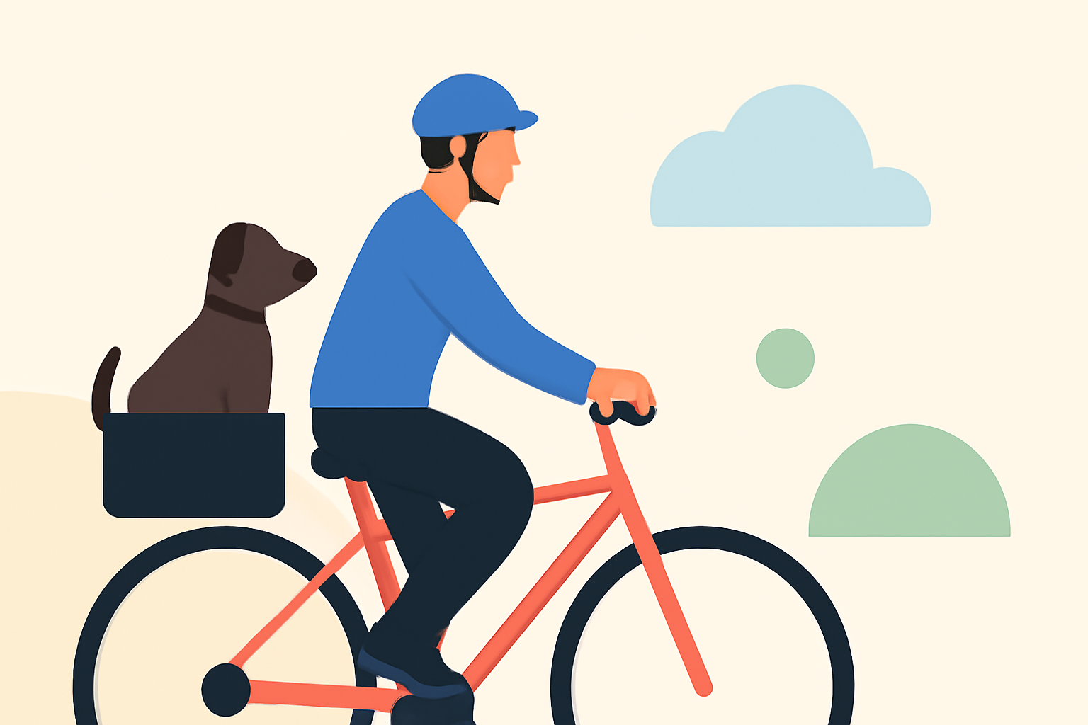 Quick Weather Guide for Outdoor Cycling with Pets in the U.S.
