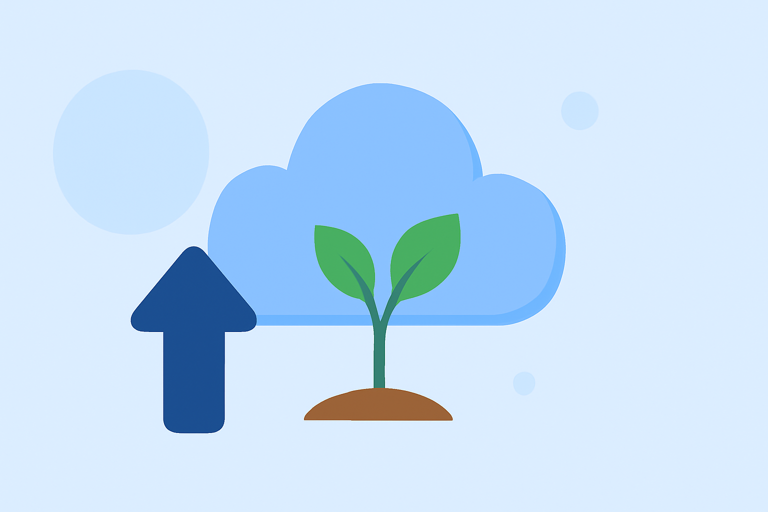 La Niña Basics: A Step-by-Step Guide for Gardeners