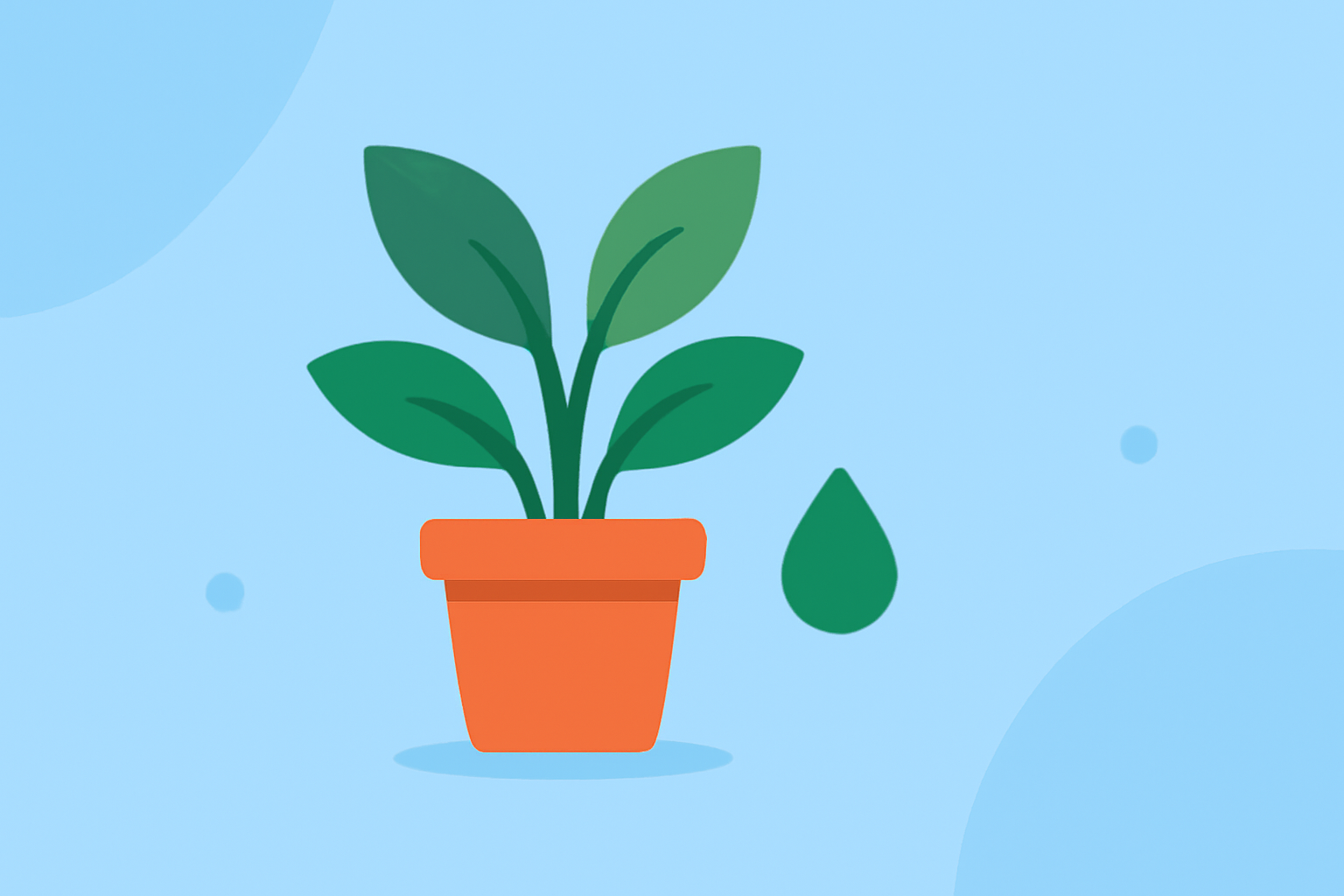 Quick Guide to Indoor Plant Care: Essential Tips for Beginners