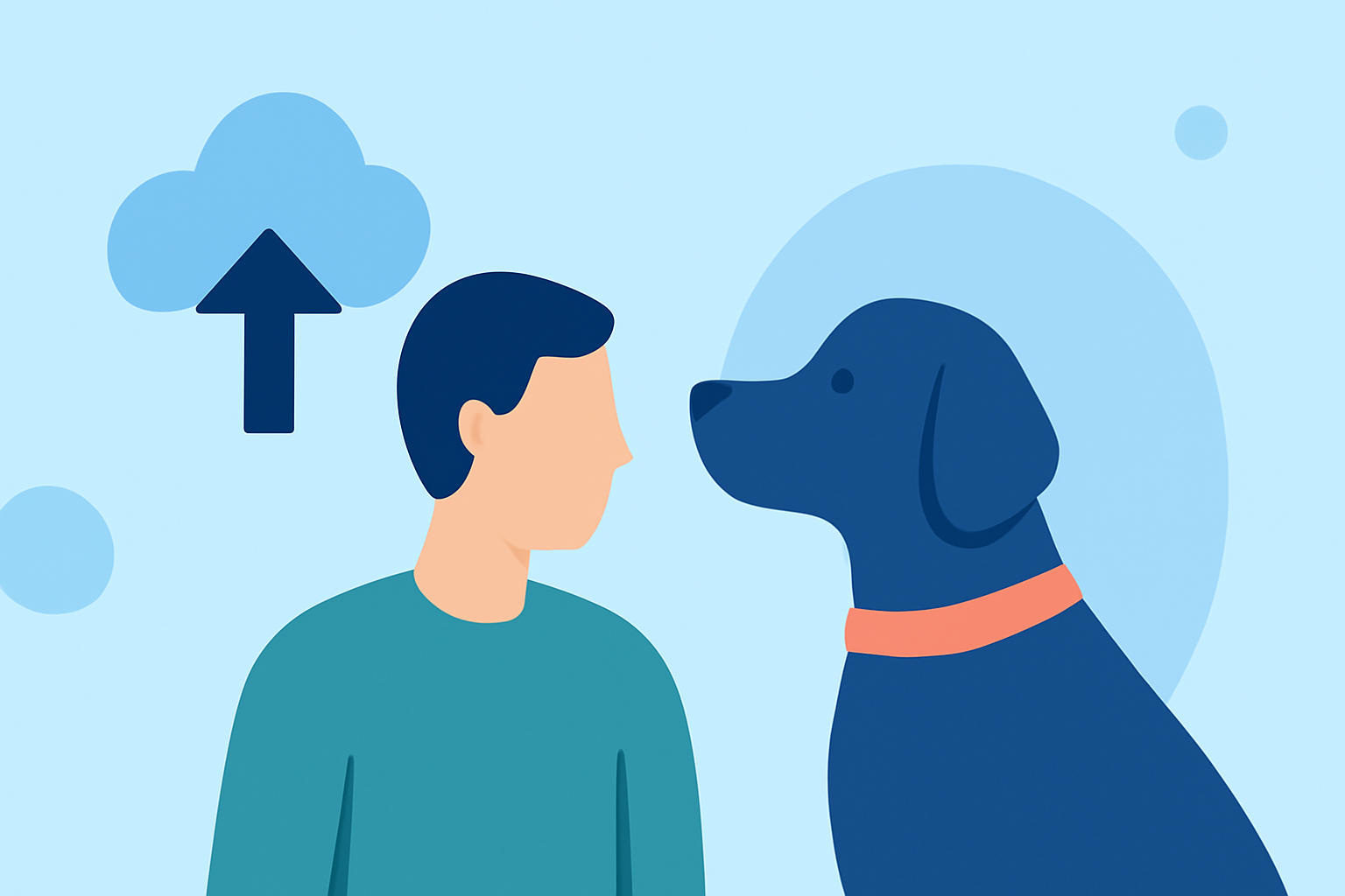 Effective Storm Preparedness for Pet Owners: A Comprehensive Guide