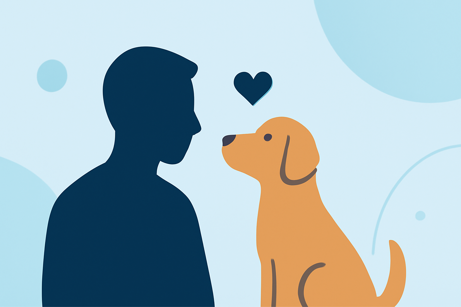 Best Times to Visit the USA for First-Time Pet Owners