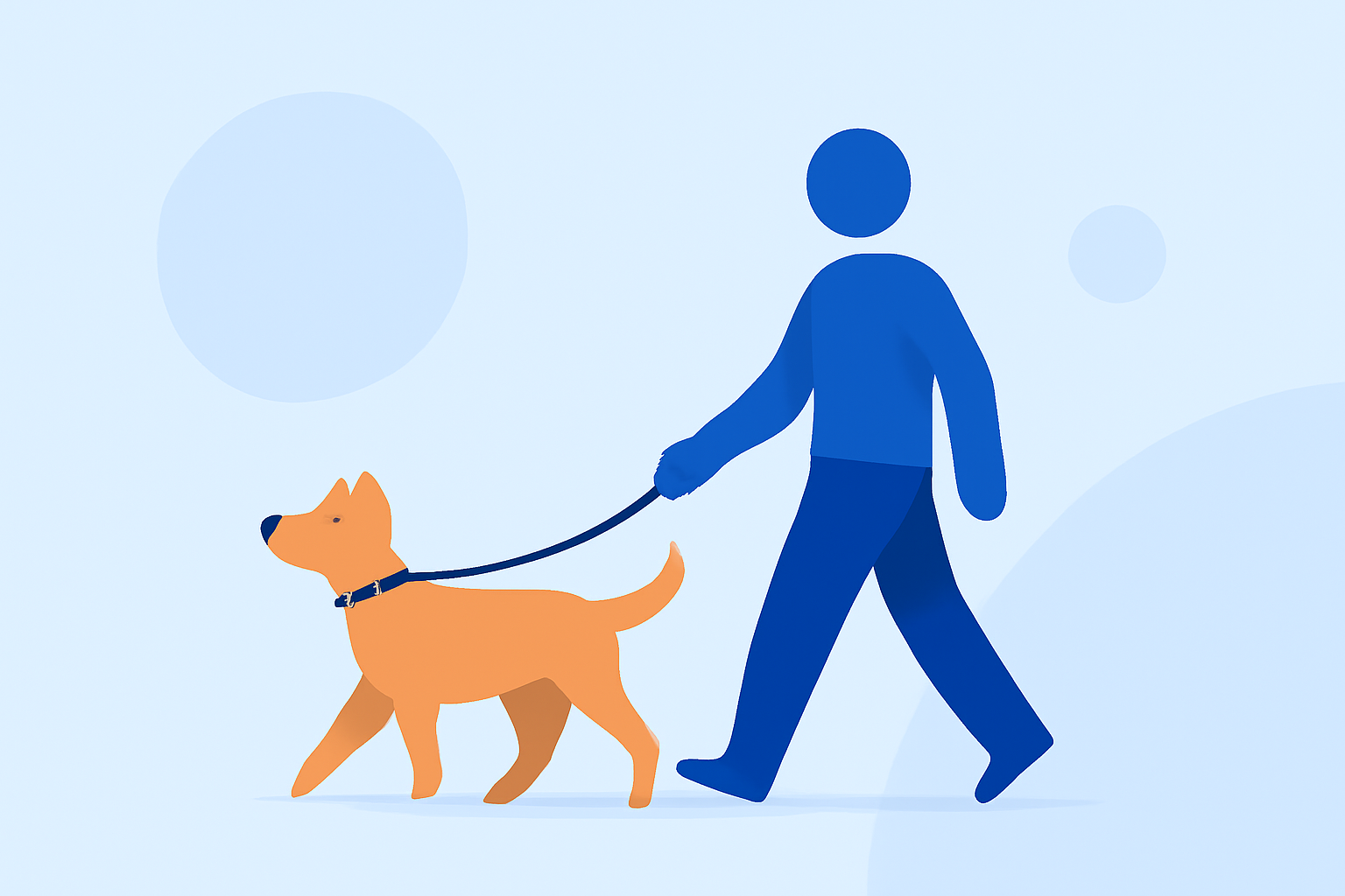 Essential Guide to Safe Pet Walking During Travel Days