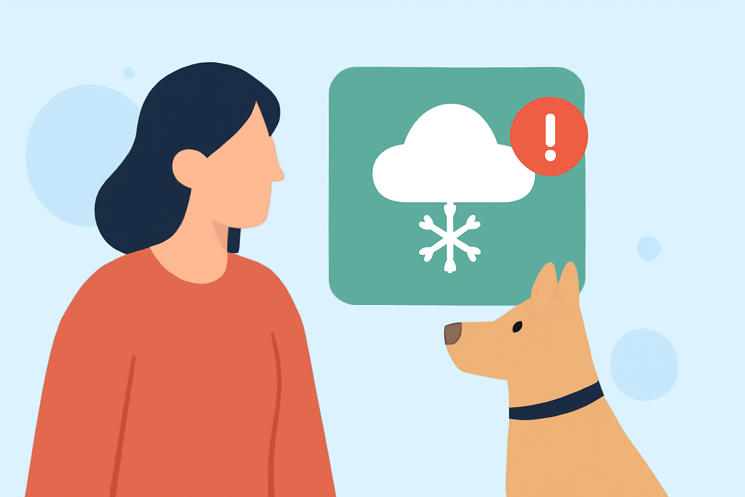 Snowfall Alerts Step by Step for Pet Owners