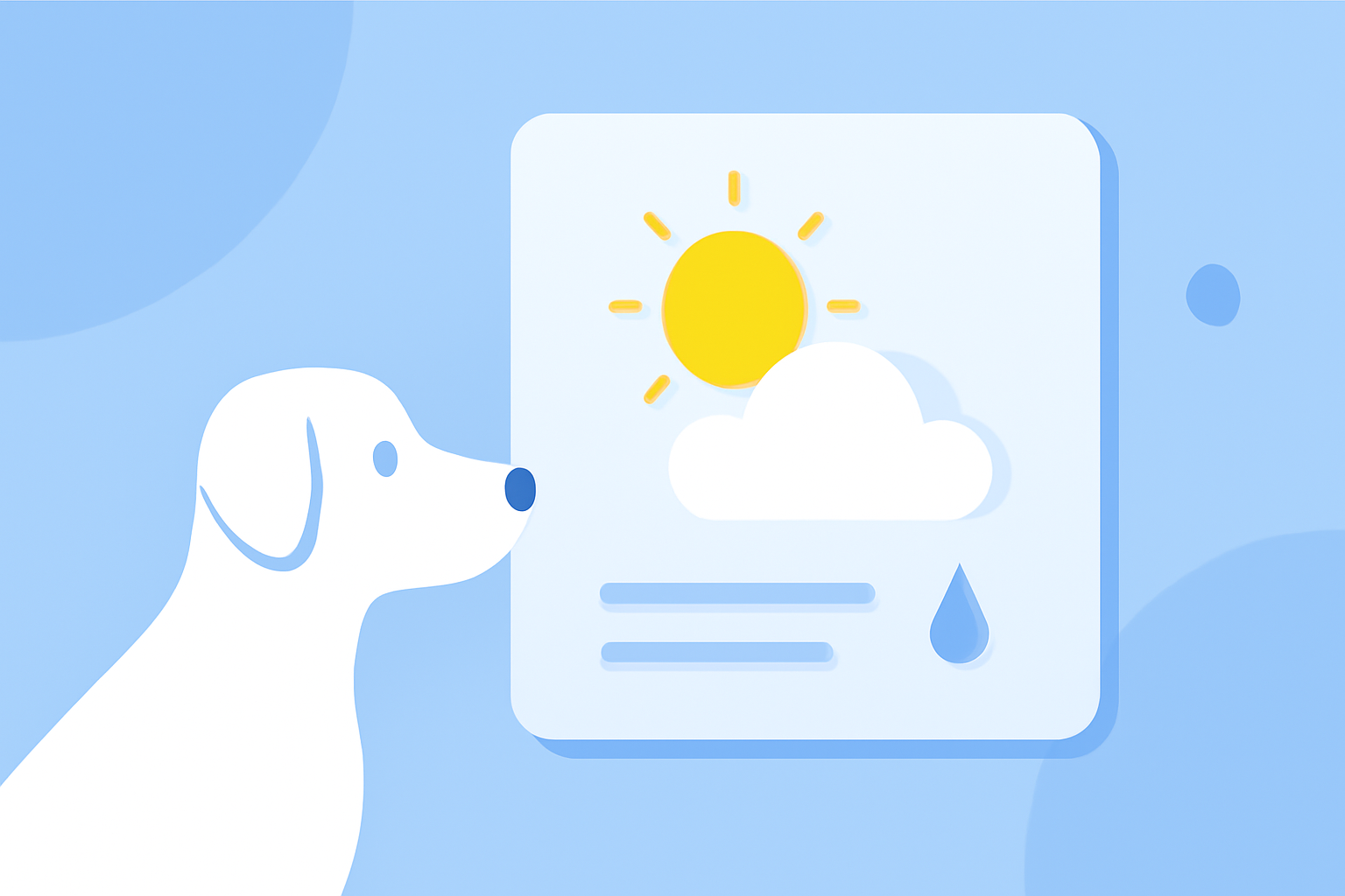 Creating Large Weather Widgets for Pet Owners