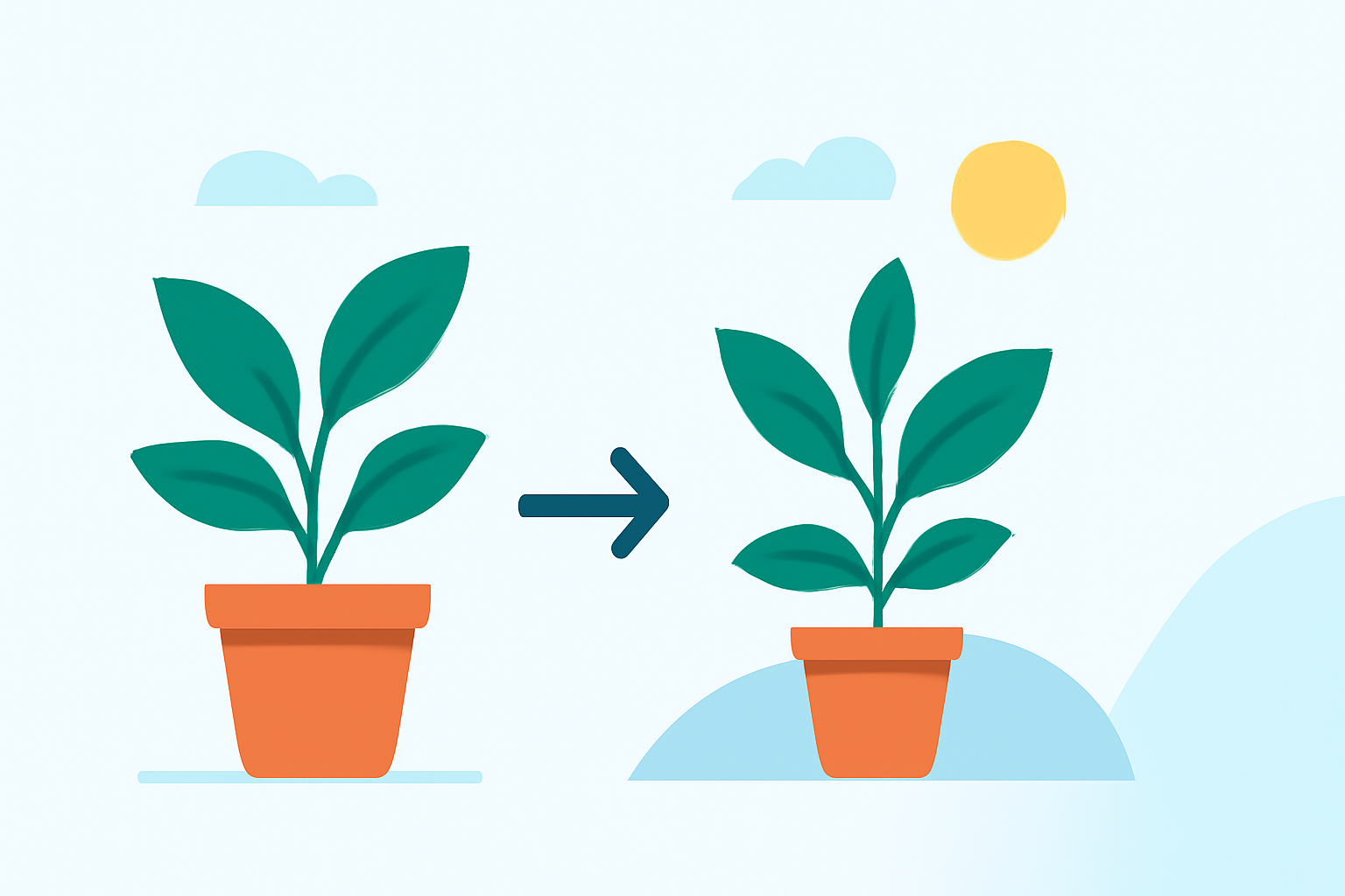 Essential Guide to Safely Transitioning Indoor Plants Outdoors