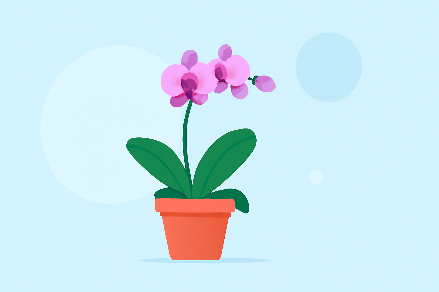 Optimal Weather Conditions for Thriving Orchids in the United States