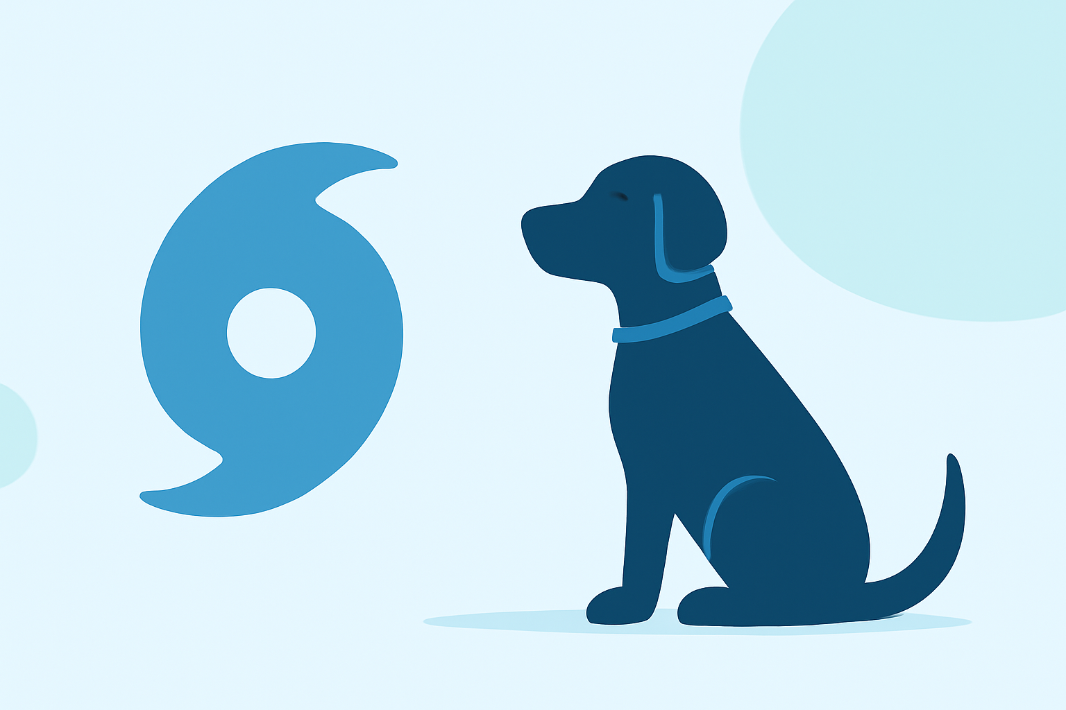 Hurricane Storm Surge Guide for Pet Owners
