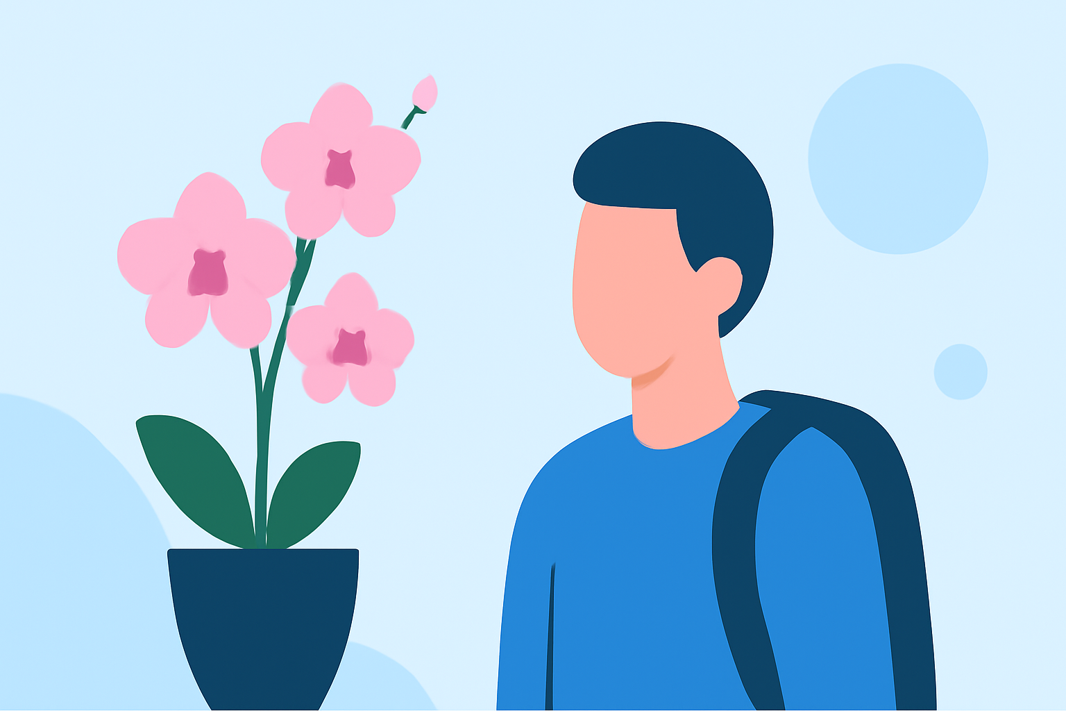 Essential Orchid Care Tips for Commuters