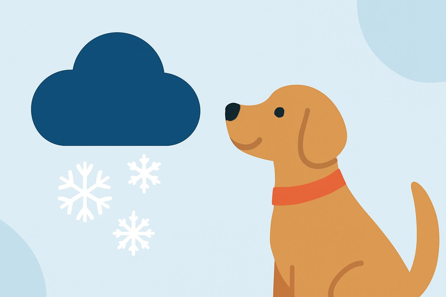 Understanding Precipitation Types and Ensuring Pet Safety