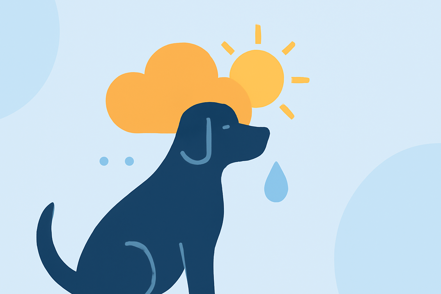 Understanding How Weather Affects Your Pet's Skin Health