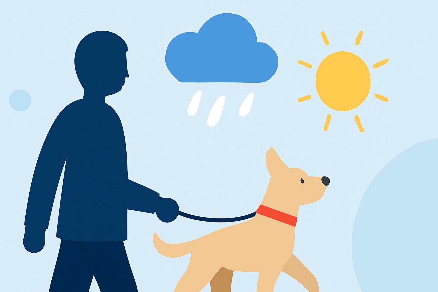 Weather for Pet Walking: A Step-by-Step Guide