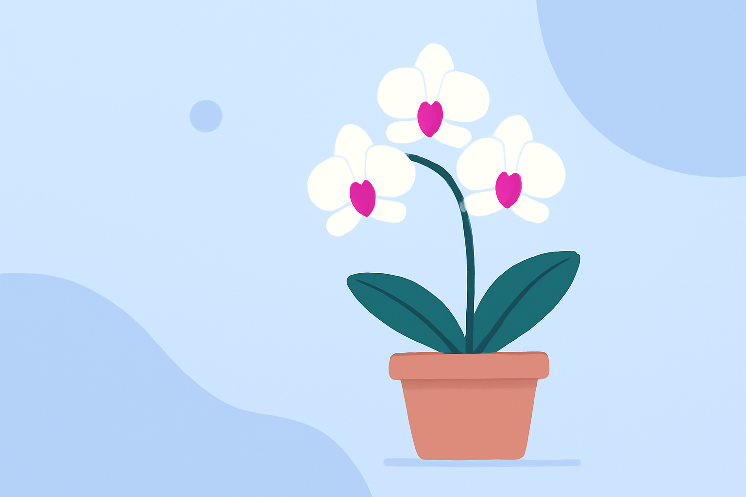 Weather and Care Tips for Growing Orchids Outdoors in the United States