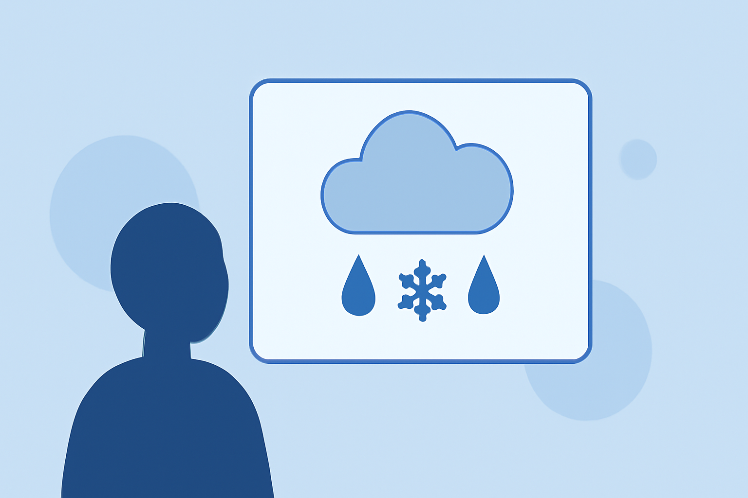 Quick Mixed Precipitation Forecasts for Travelers: A Guide