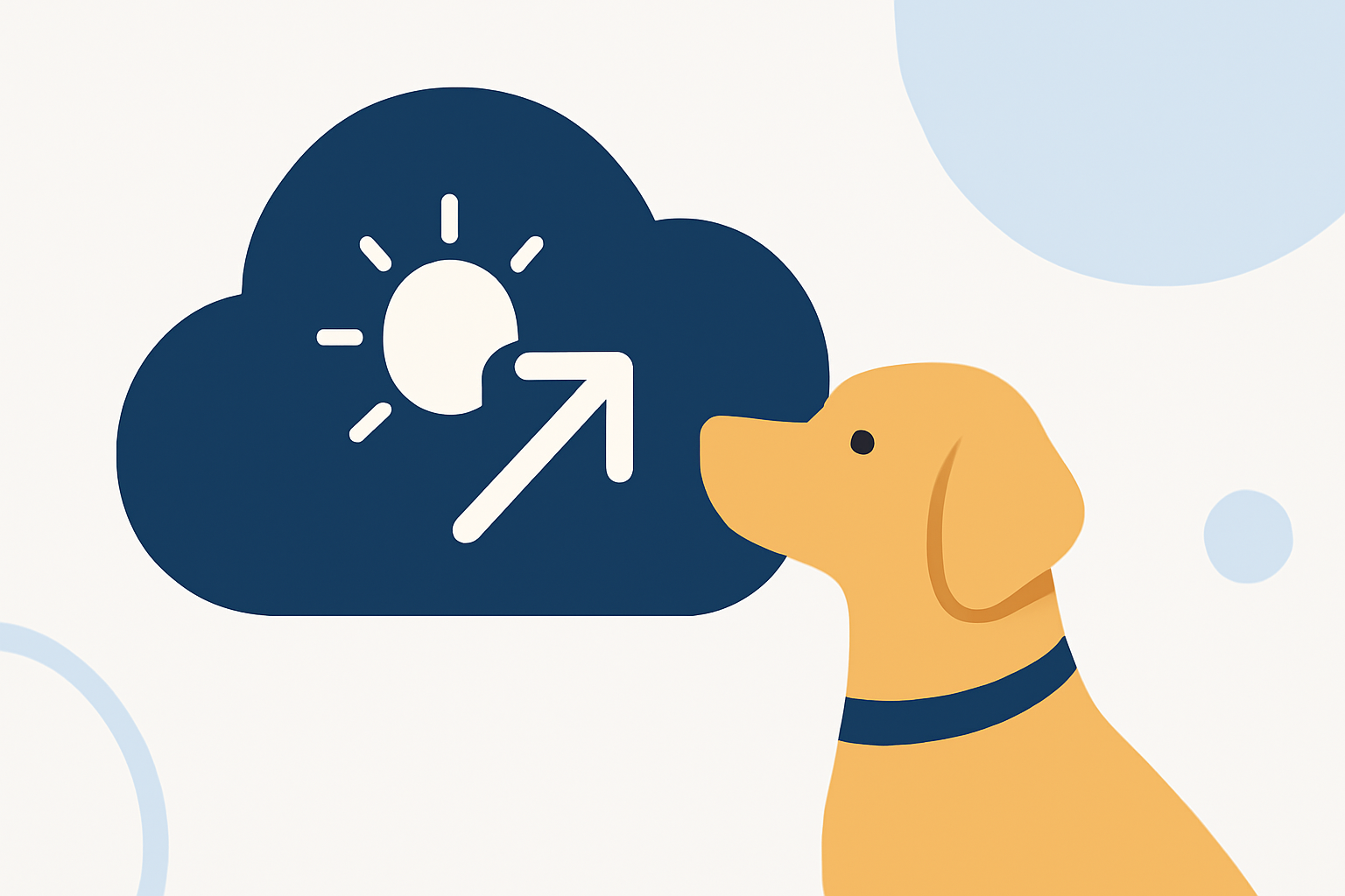 Weather Planning for Football Tricks with Your Pets