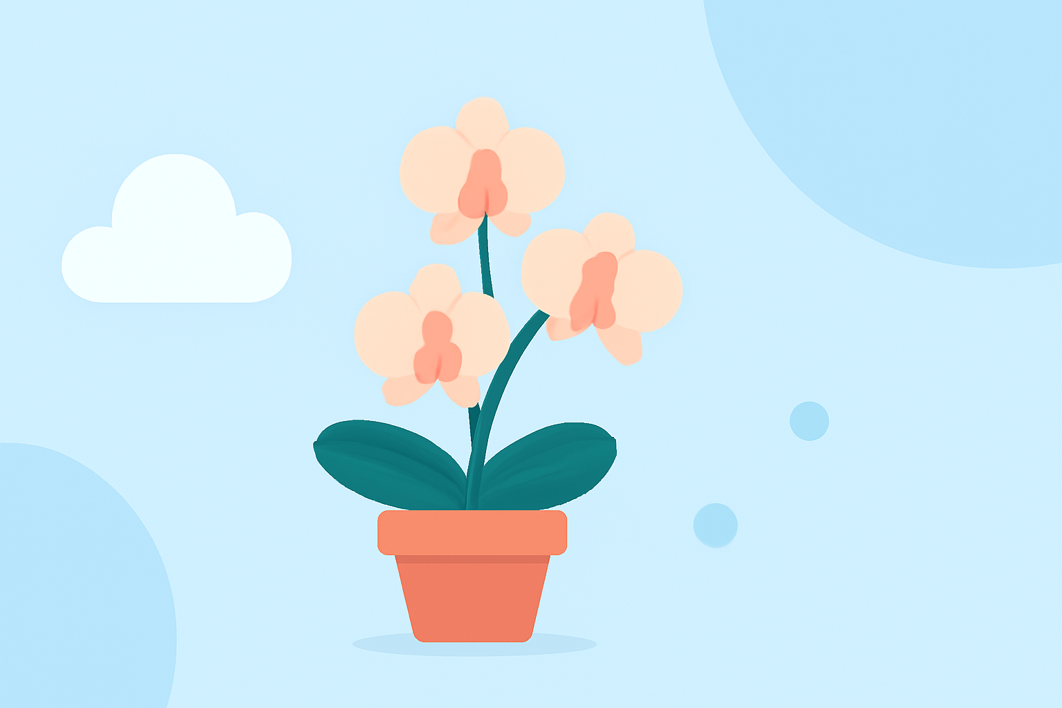 Essential Weather Conditions for Thriving Orchids