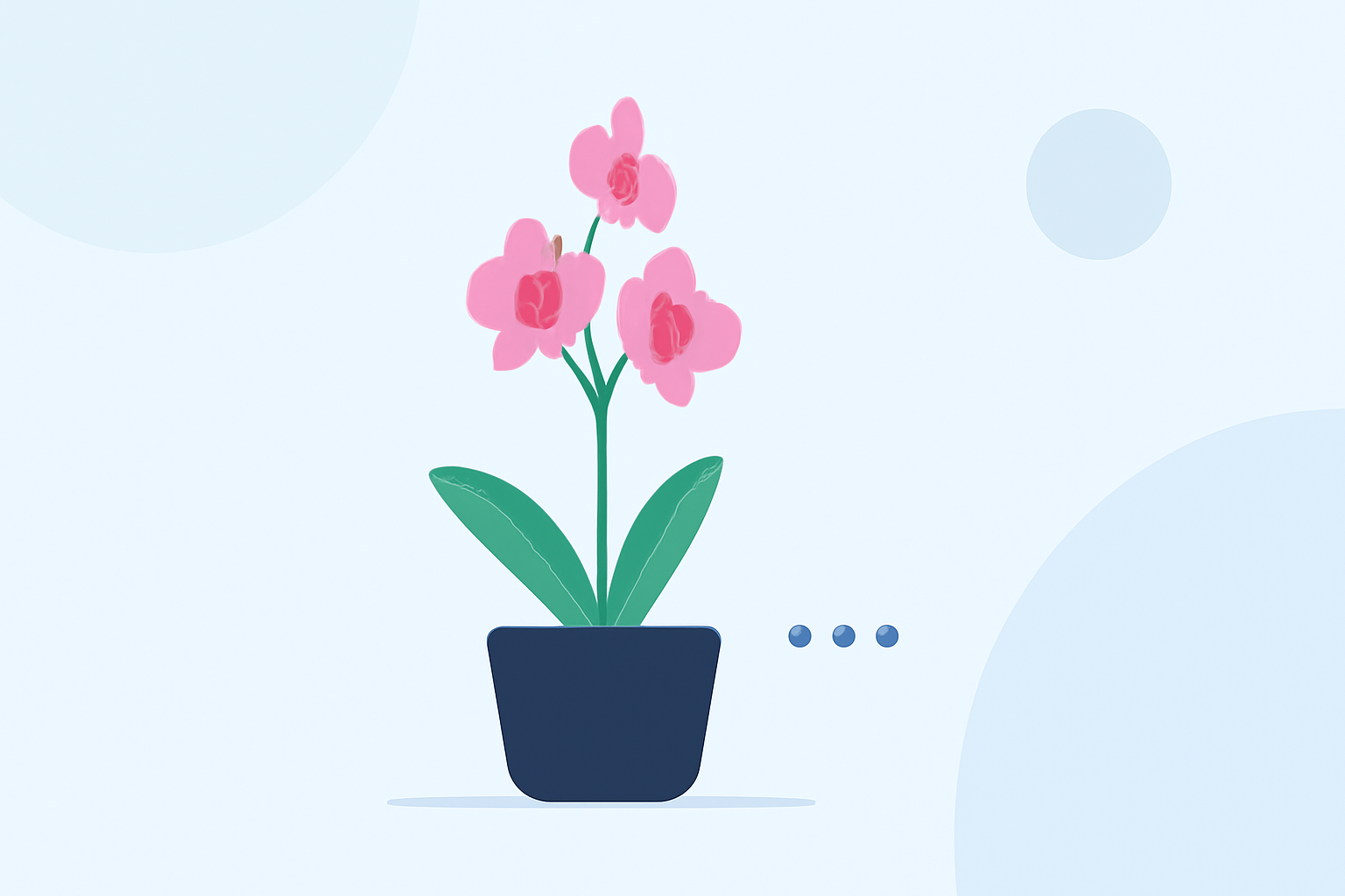Optimal Weather Conditions for Orchid Growth: A Comprehensive Guide