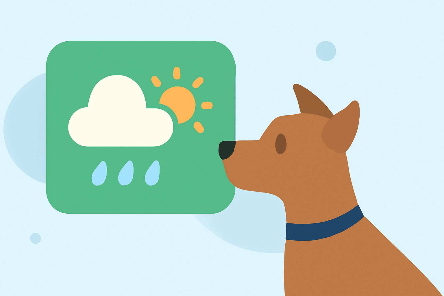Quick Weather for Outdoor Parties for Pet Owners