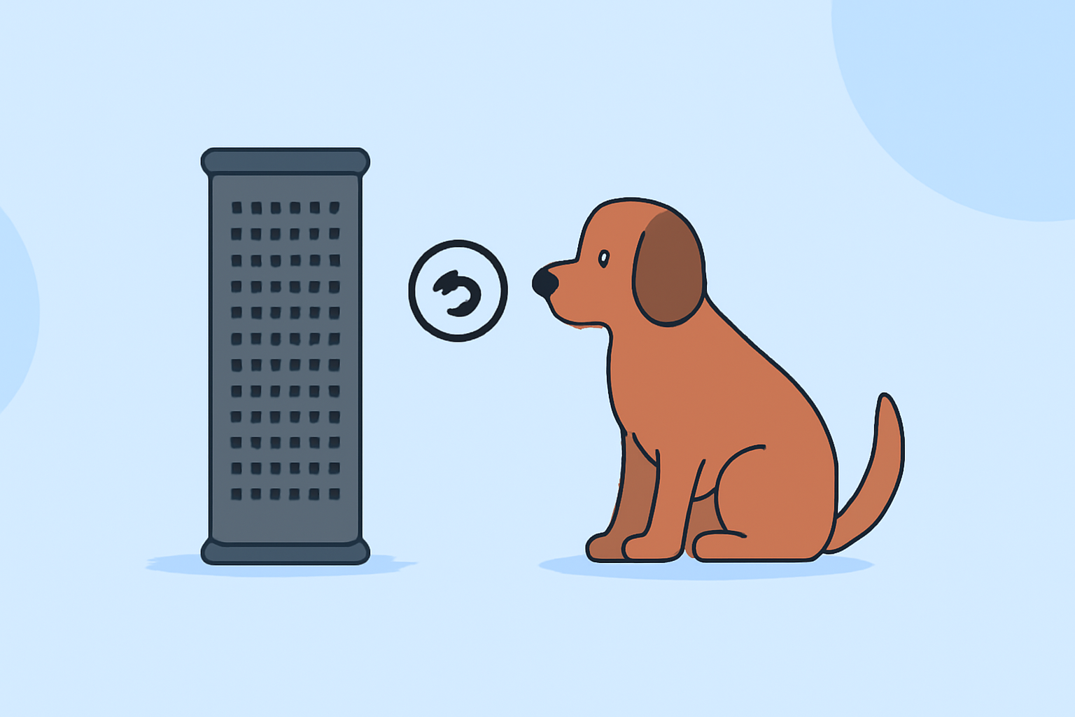 Carbon Filters for Air Quality: Mistakes to Avoid for Pet Owners