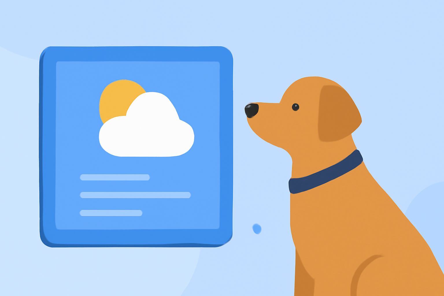 Weather Widget Privacy Explained for Pet Owners